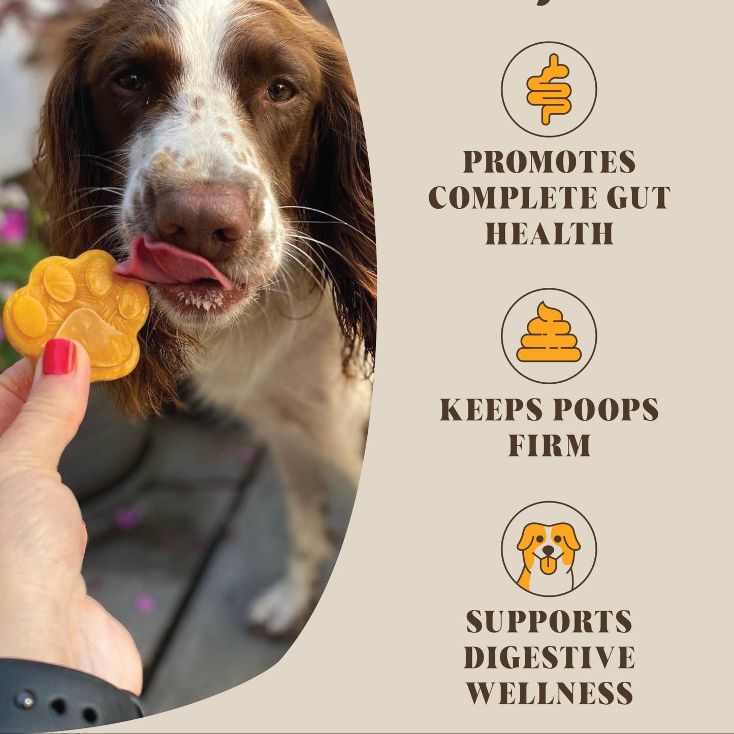 Pre & Probiotics For Dogs | Real Pumpkin Powder + Probiotic