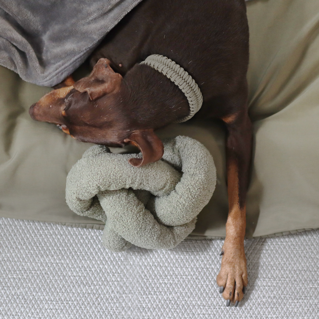 Lambwolf Collective O NOU Oversized Snuffle toy: Oat