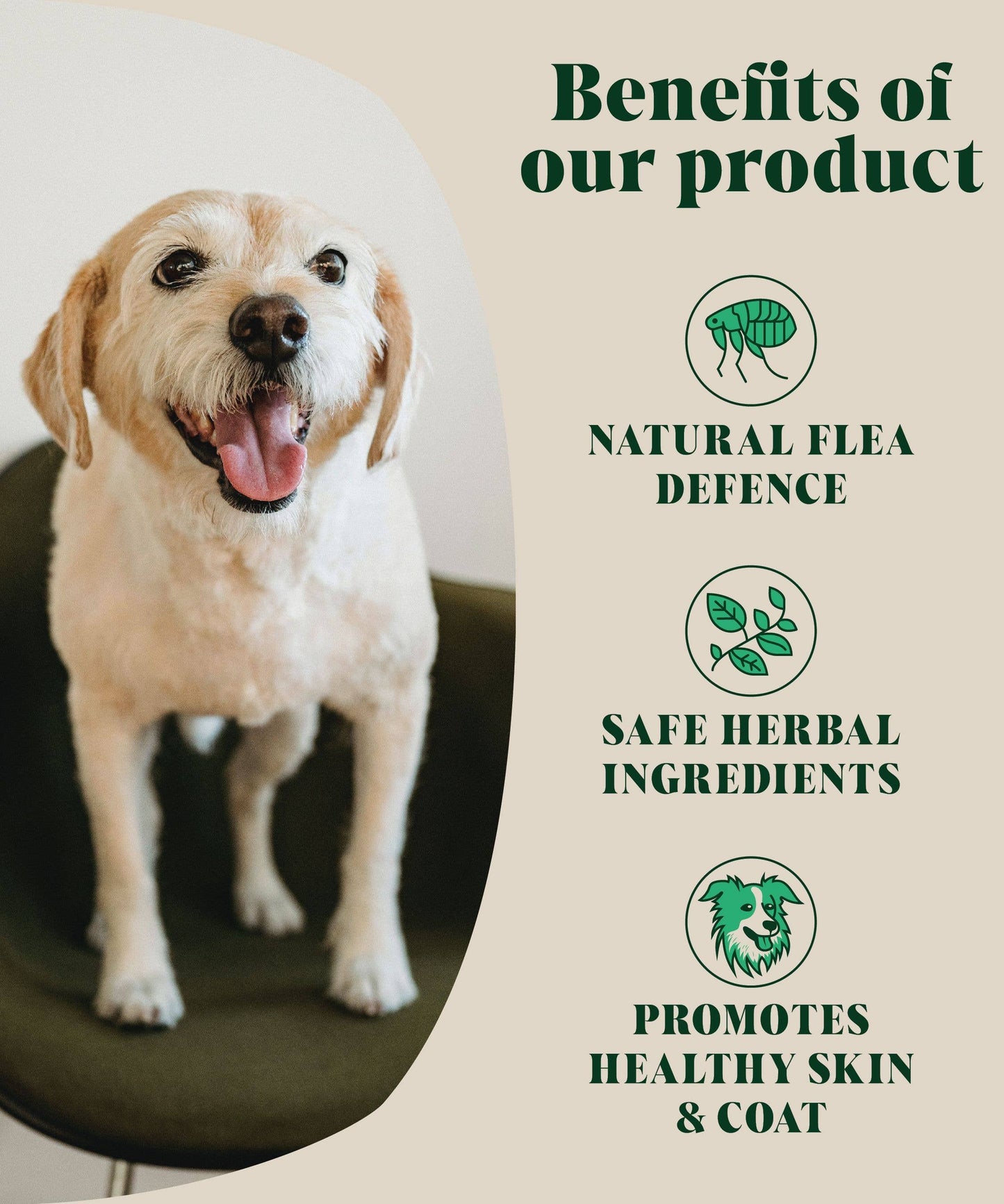 Hackney House Natural Flea and Tick Powder for Dogs | Herbal Repellent