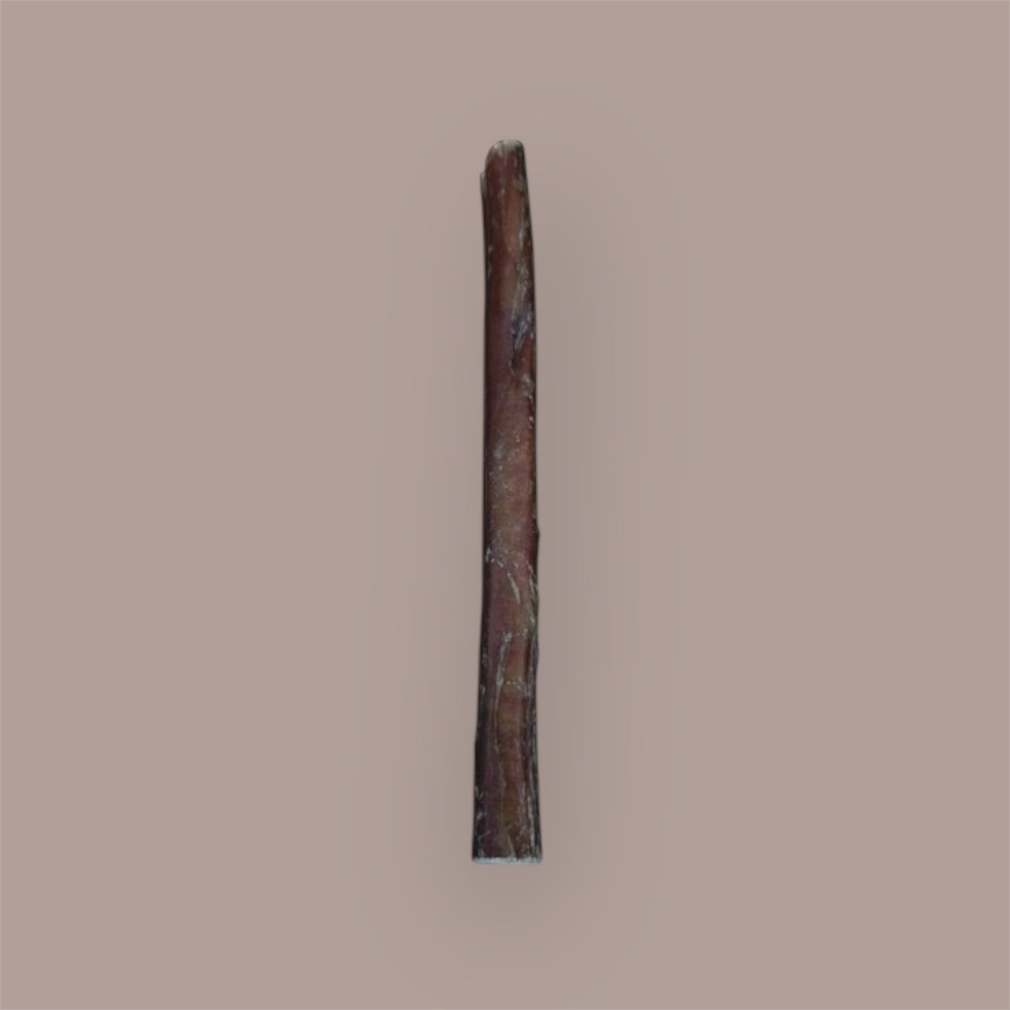 Anco Large Bully Pizzle