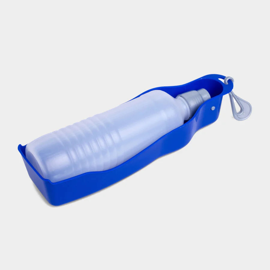 Travel water bottle