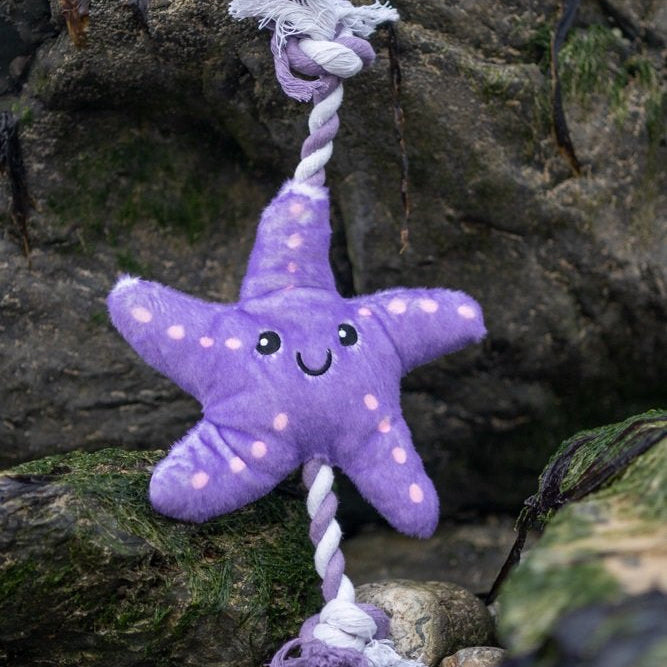 Samantha Starfish Tug Toy