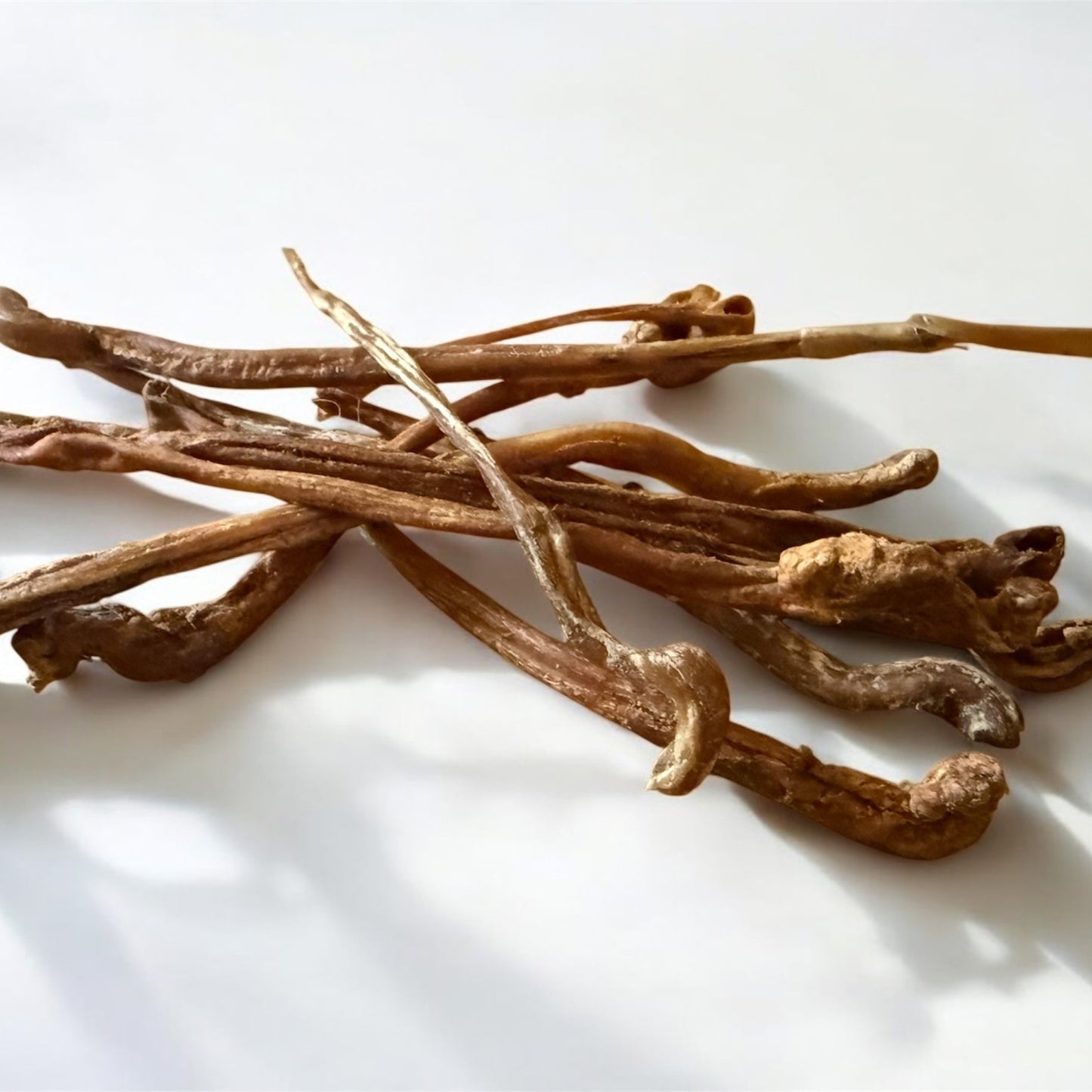 Anco Naturals Lamb Pizzle Spaghetti - 100g