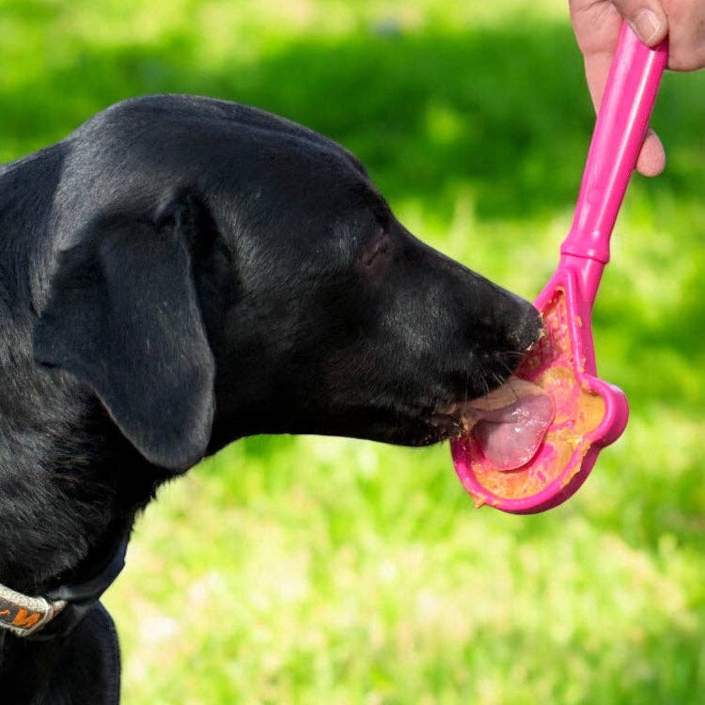 EStick Hand-Held Dog Enrichment Toy - Interactive Lick Stick - Ice Cream Cone Lick Stick - Pink