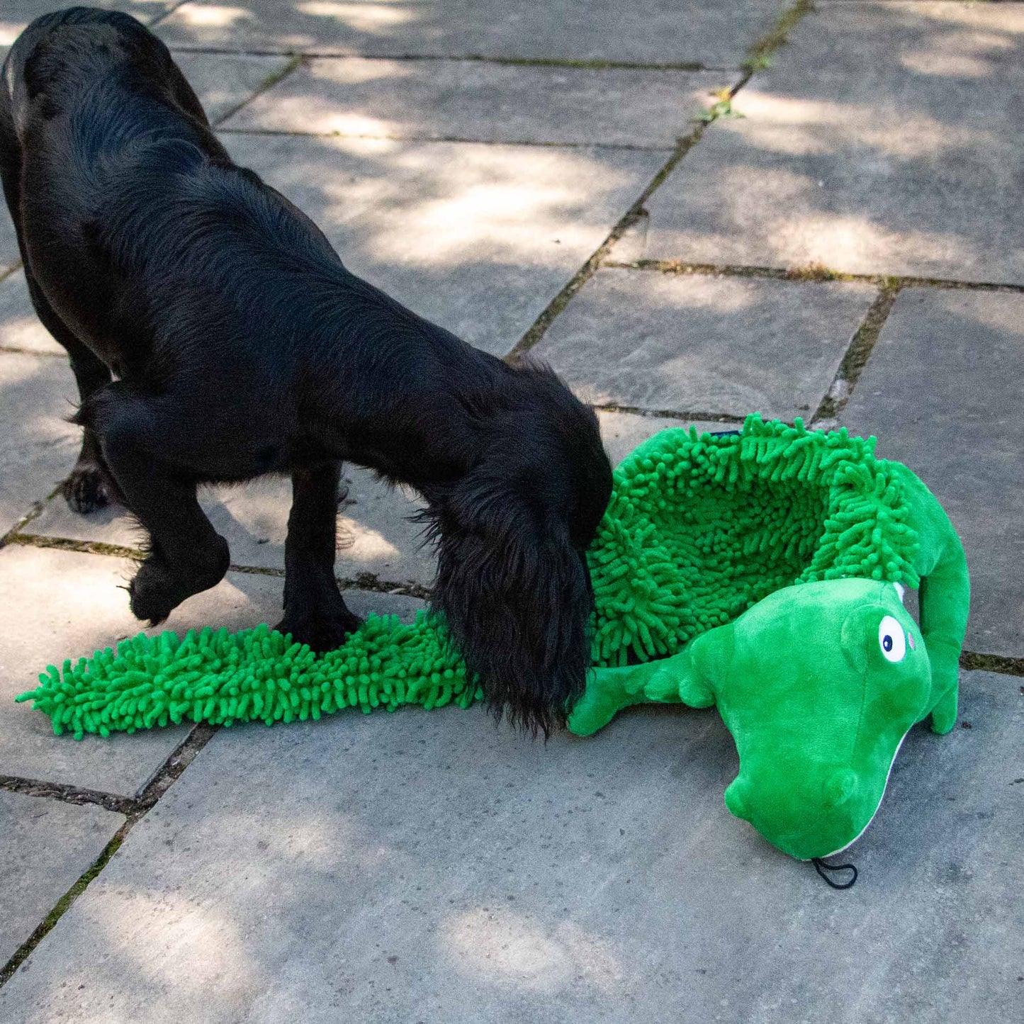 Medium Snuffle Croc Rollable Mat