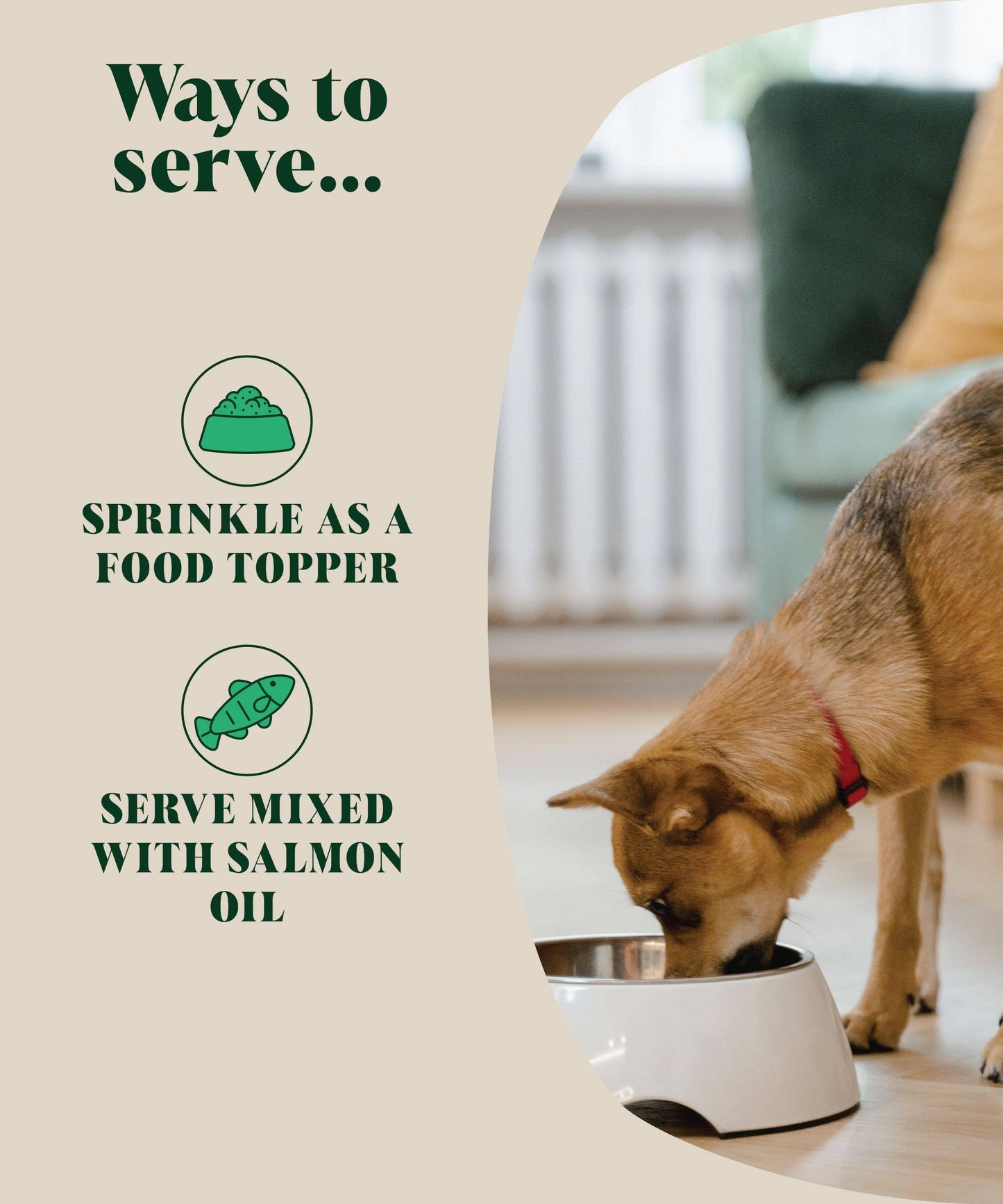 Hackney House Natural Flea and Tick Powder for Dogs | Herbal Repellent