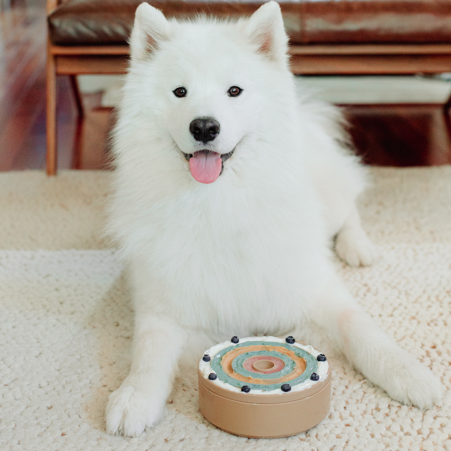 Lambwolf Collective 3-IN-1 BENTO Slow Feeder and Lickmat