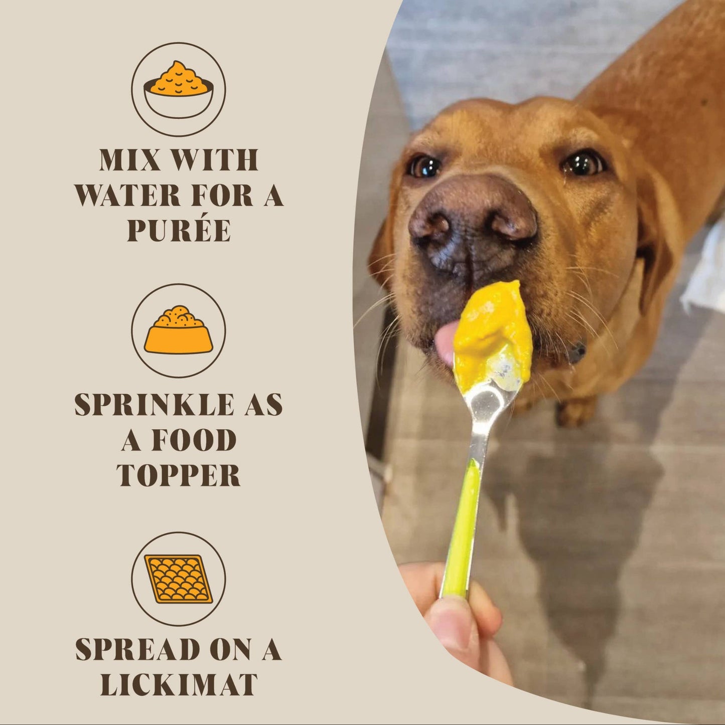 Pre & Probiotics For Dogs | Real Pumpkin Powder + Probiotic