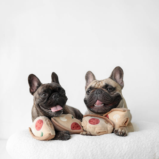 Lambwolf Collective DEEP DISH PIZZA Snuffle mat and Burrow toy