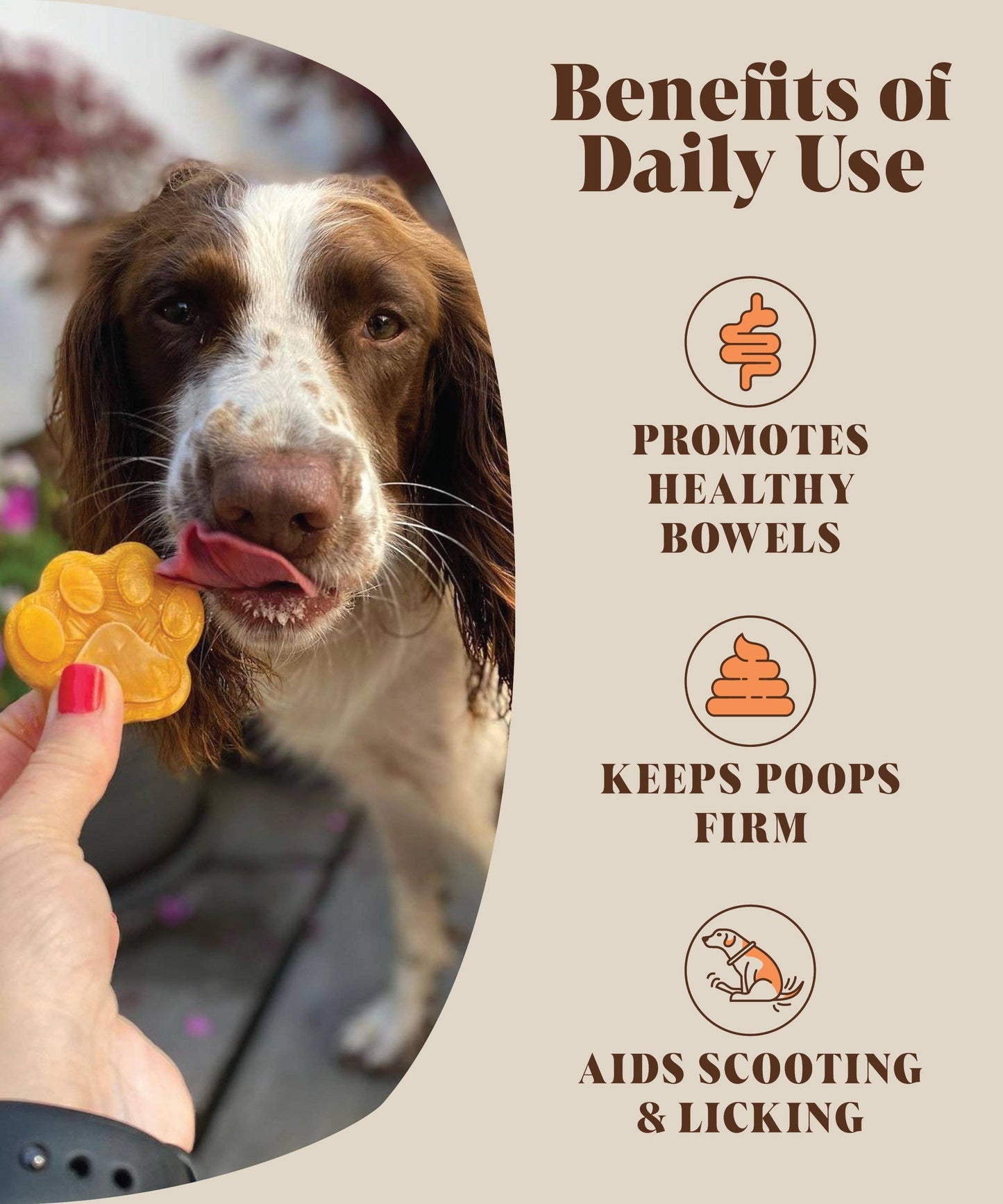 Hackney House Pumpkin Powder For Dogs
