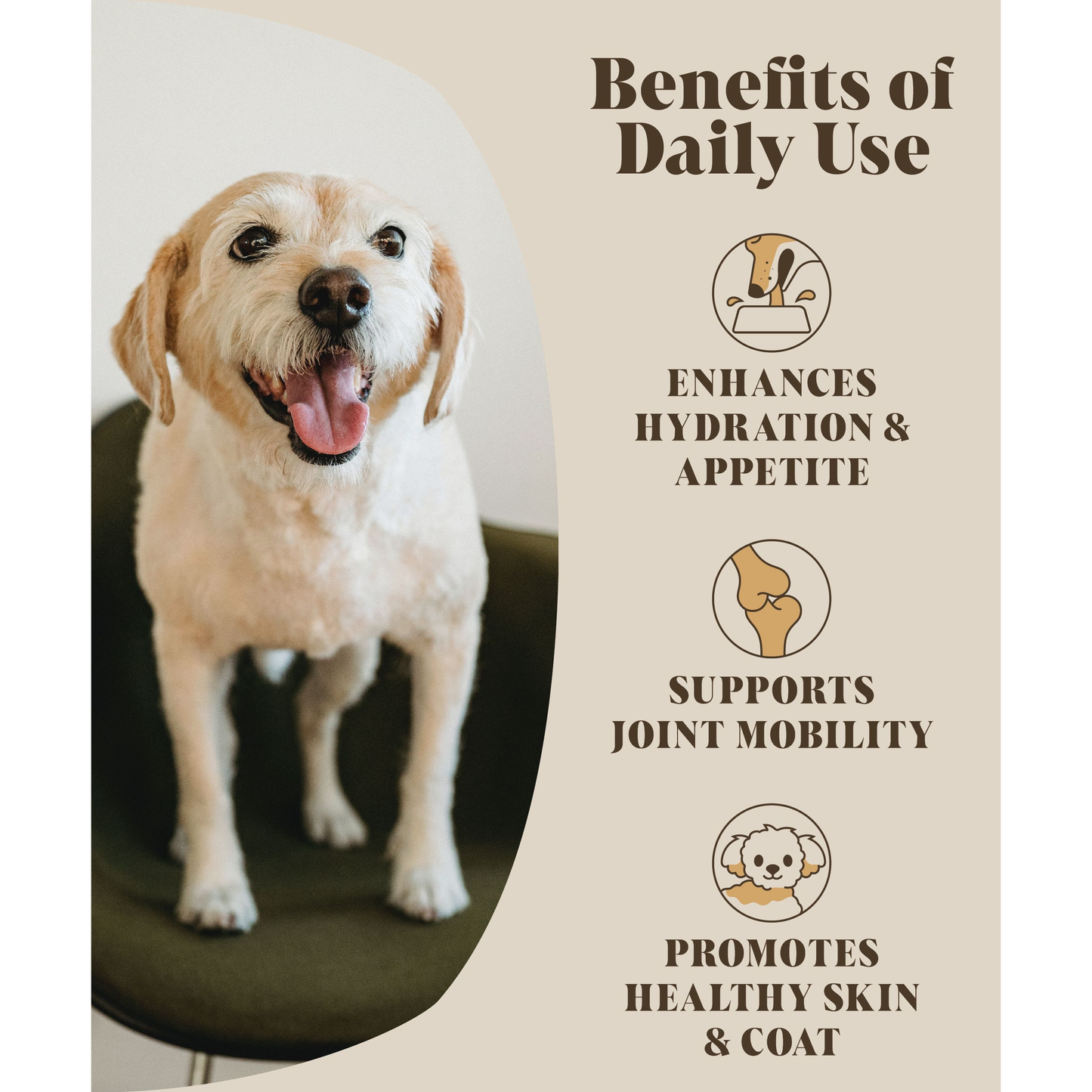 Hackney House Bone Broth for Dogs - Chicken