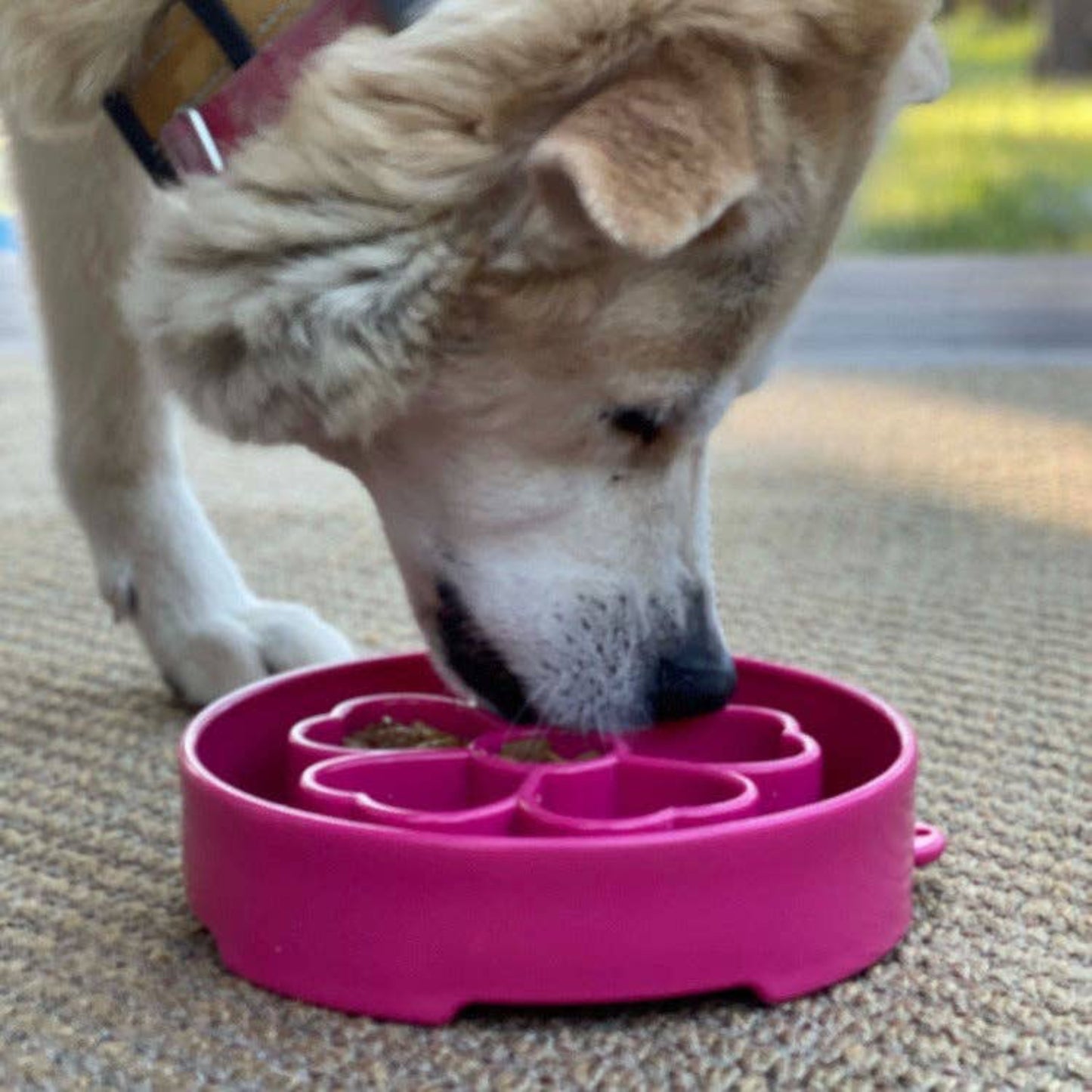 Flower eBowl Deep Slow Feeder Dog Bowl for Enrichment - Flower Bowl
