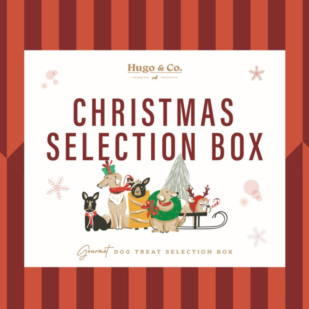 Christmas Flavours Selection Box Dog Treats