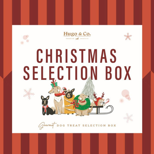 Christmas Flavours Selection Box Dog Treats