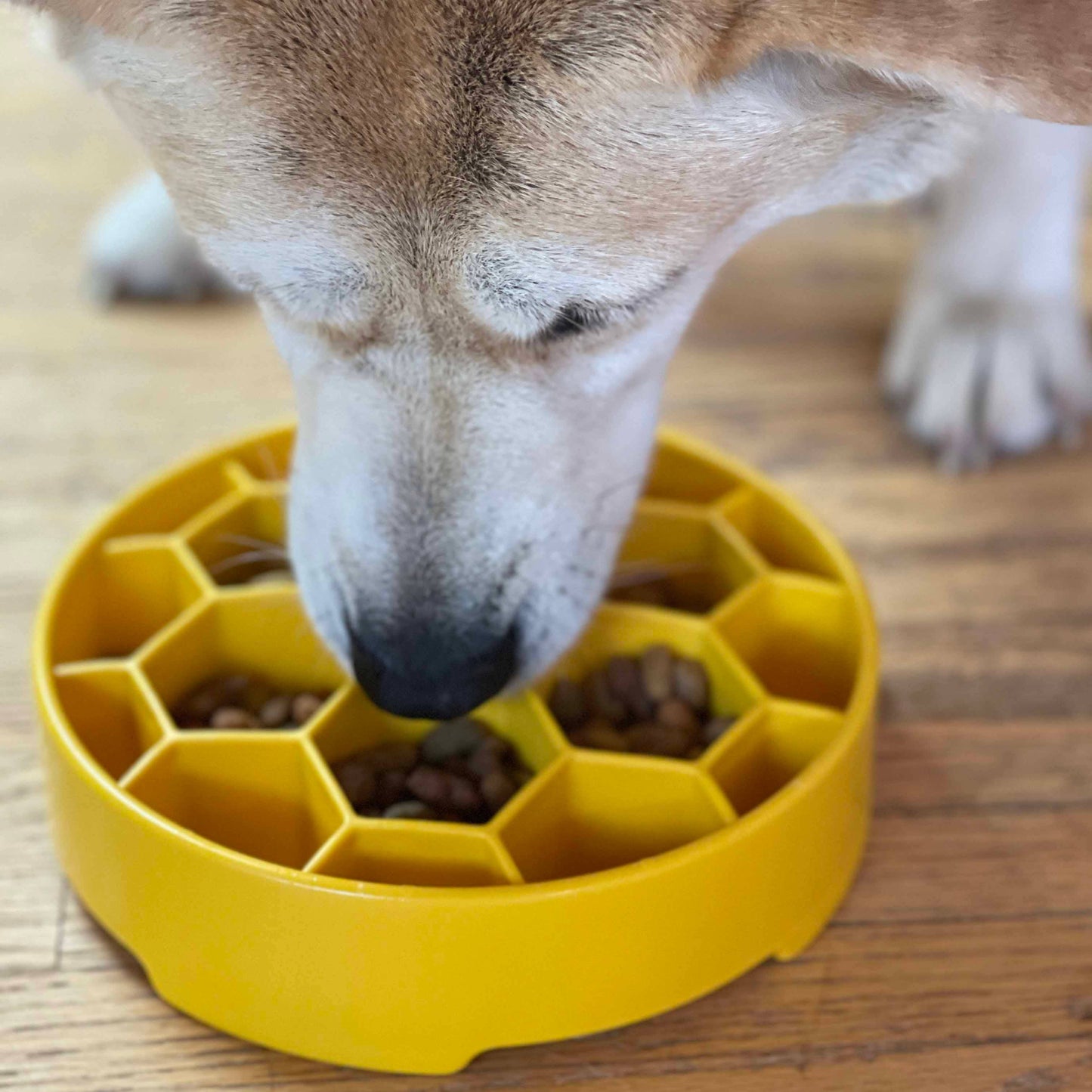 Honeycomb eBowl Deep Slow Feeder Dog Bowl - Yellow