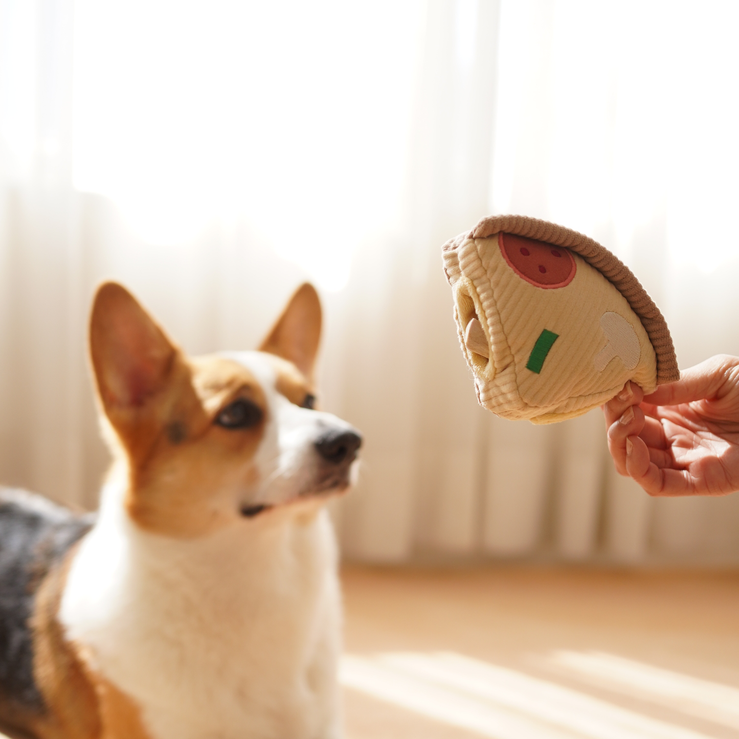 Lambwolf Collective DEEP DISH PIZZA Snuffle mat and Burrow toy