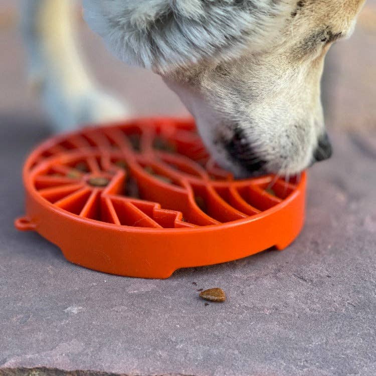 Sun and Moon eTray - Shallow Slow Feeder Dog Bowl