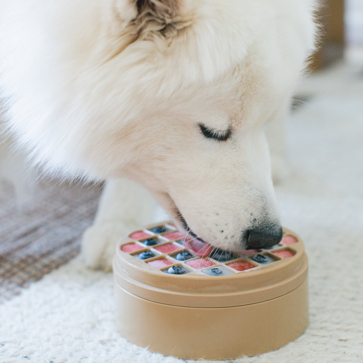 Lambwolf Collective 3-IN-1 BENTO Slow Feeder and Lickmat