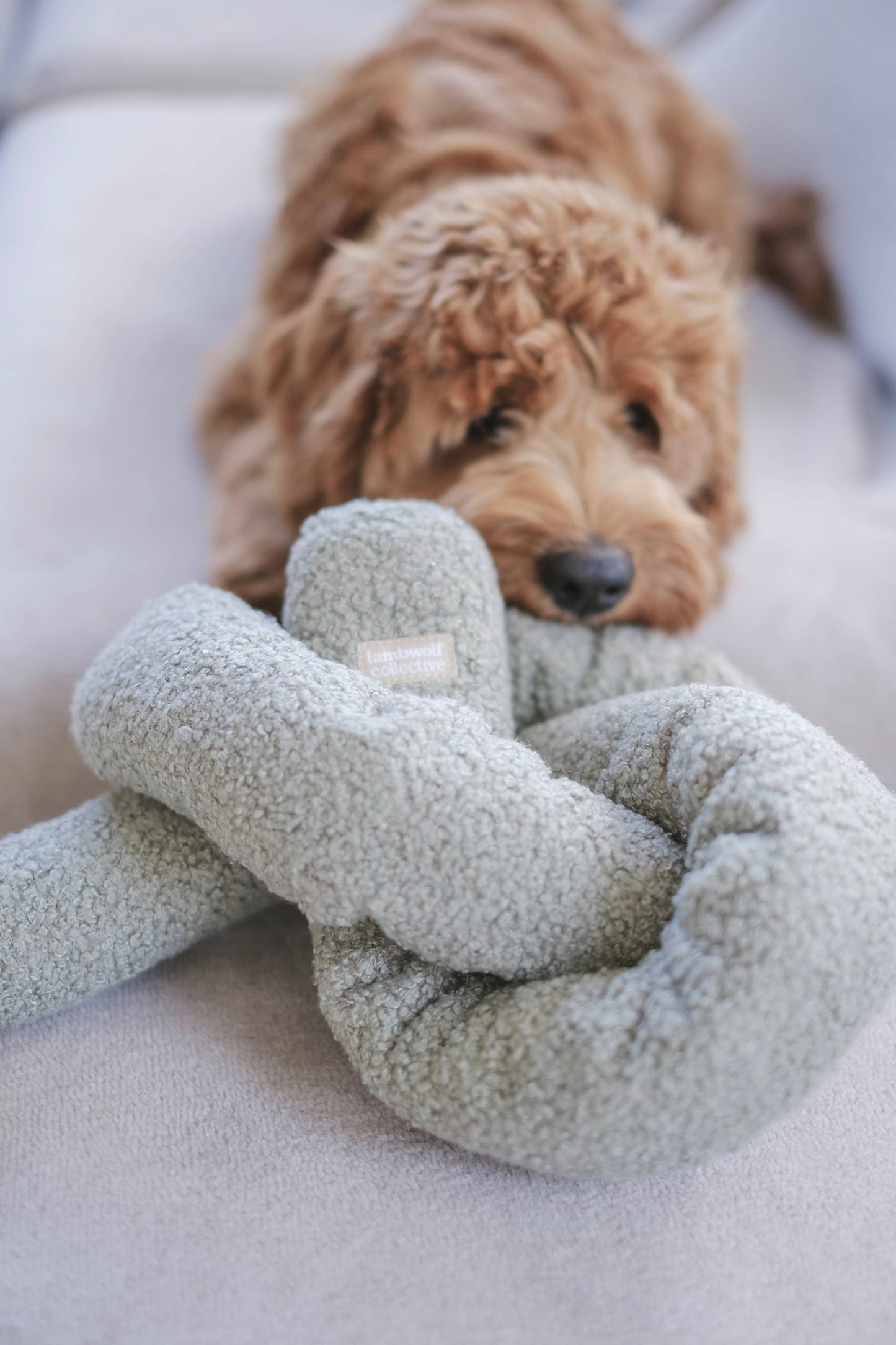 Lambwolf Collective O NOU Oversized Snuffle toy: Oat