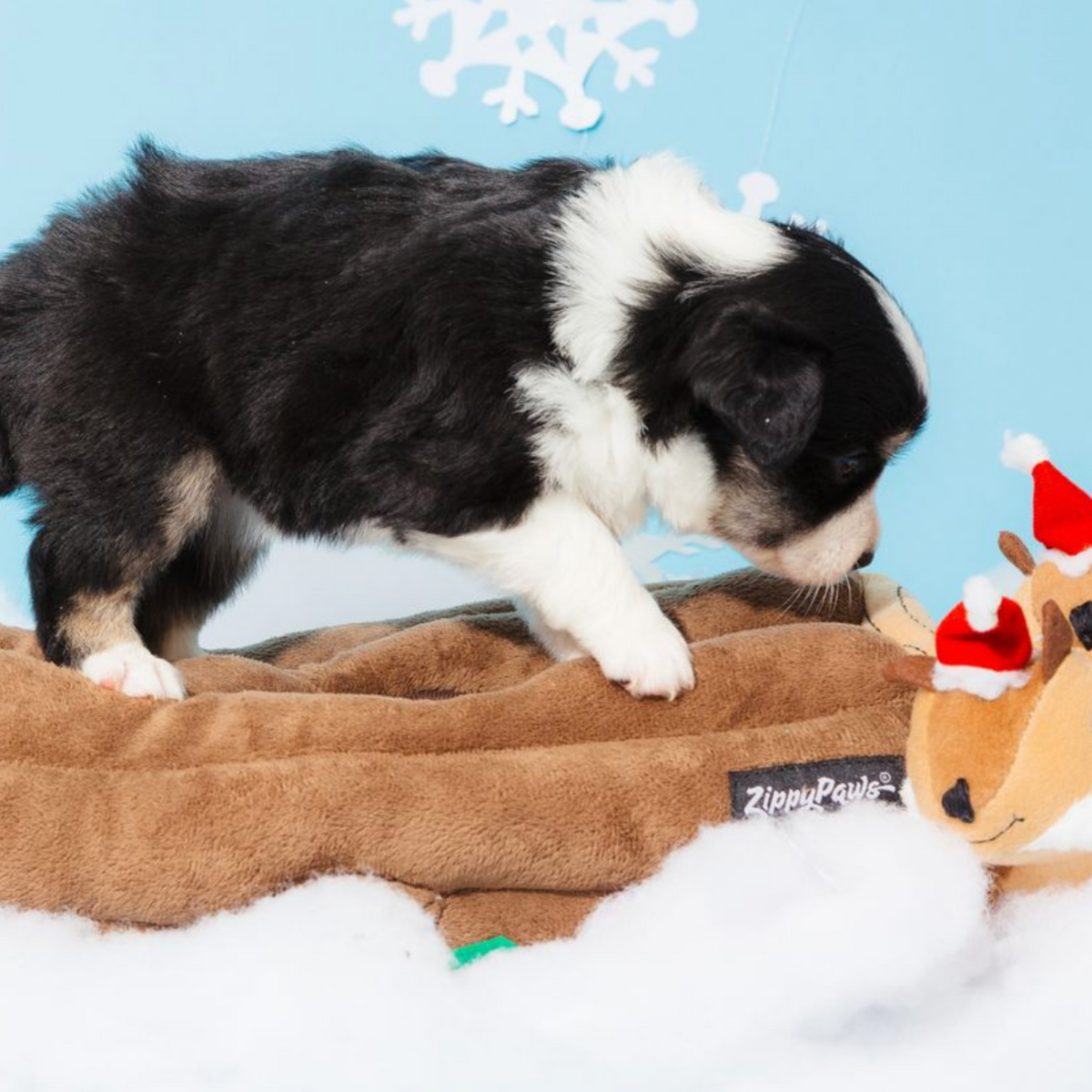 Holiday Zippy Burrow - Yule Log - Christmas Dog Toy