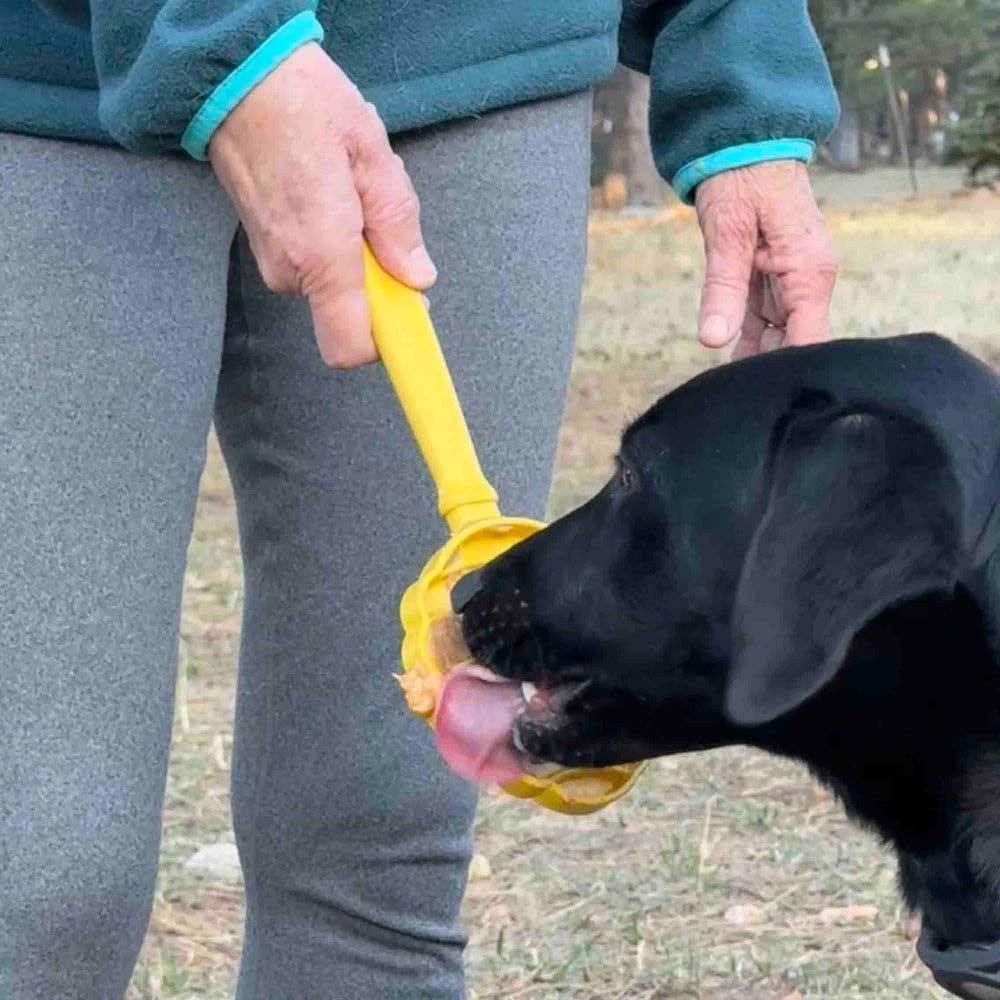 Sodapup Lick Stick Hand-Held Interactive Enrichment Toys: Flower Lick Stick - Light Blue