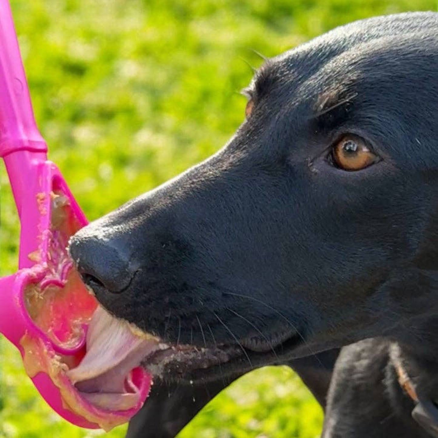 EStick Hand-Held Dog Enrichment Toy - Interactive Lick Stick - Ice Cream Cone Lick Stick - Pink
