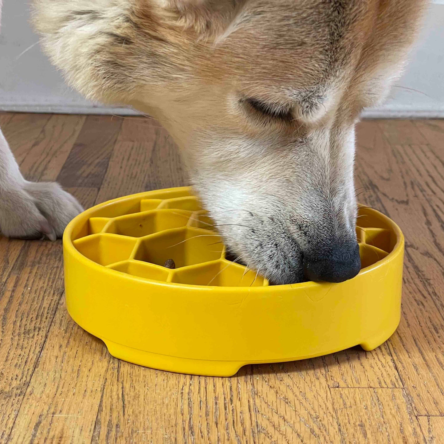 Honeycomb eBowl Deep Slow Feeder Dog Bowl - Yellow