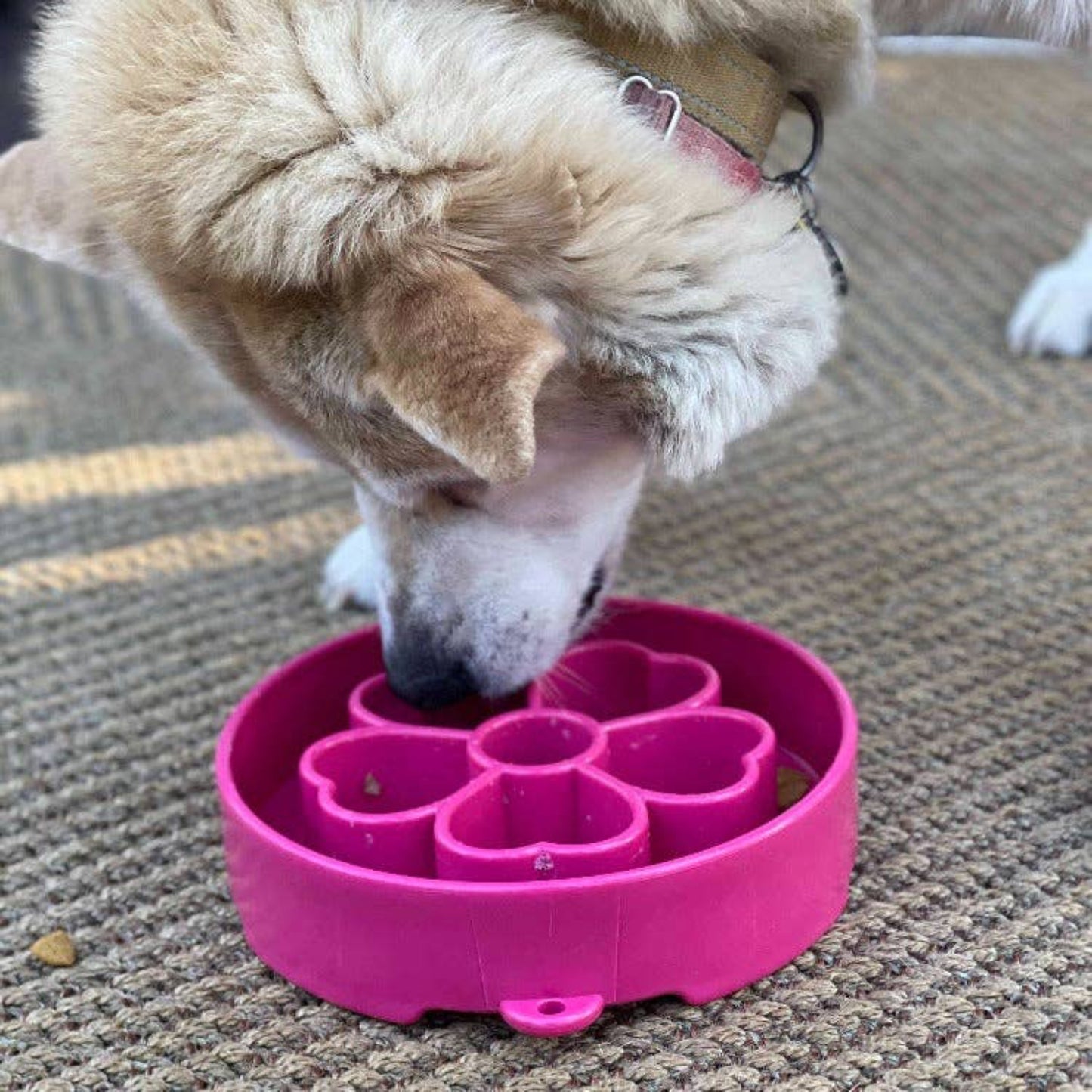 Flower eBowl Deep Slow Feeder Dog Bowl for Enrichment - Flower Bowl