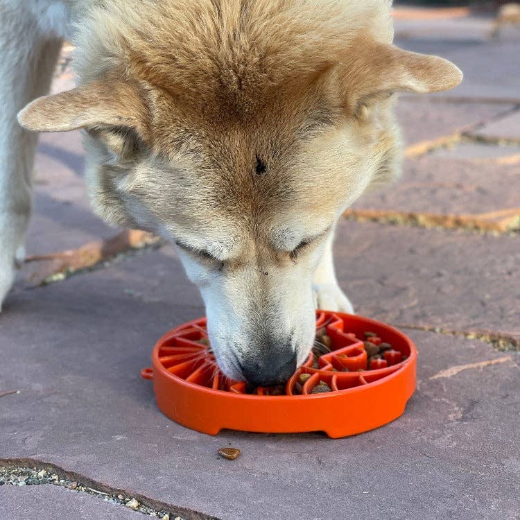 Sun and Moon eTray - Shallow Slow Feeder Dog Bowl