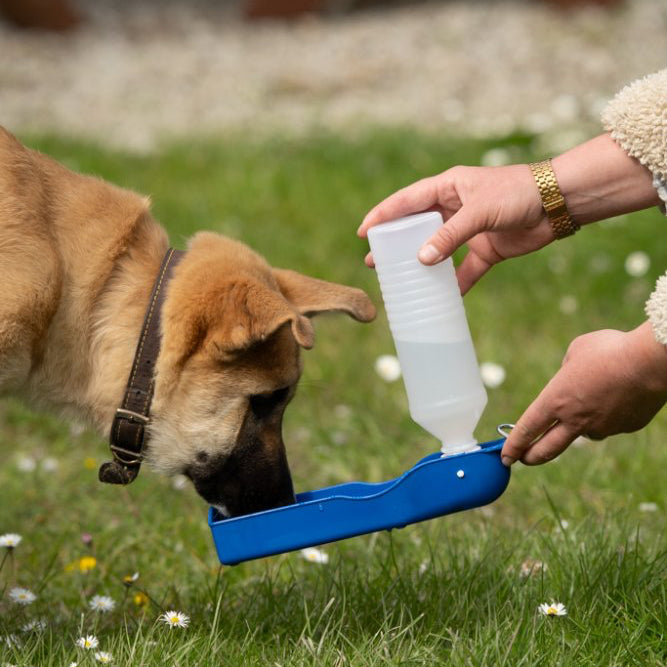 Travel water bottle