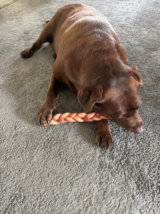 30cm Braided Odourless Pizzle