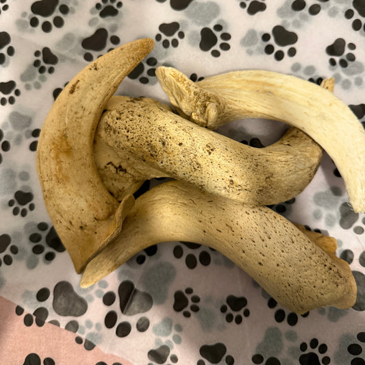 Anco Naturals Lamb Horn Marrows | Natural Lamb Dog Chew