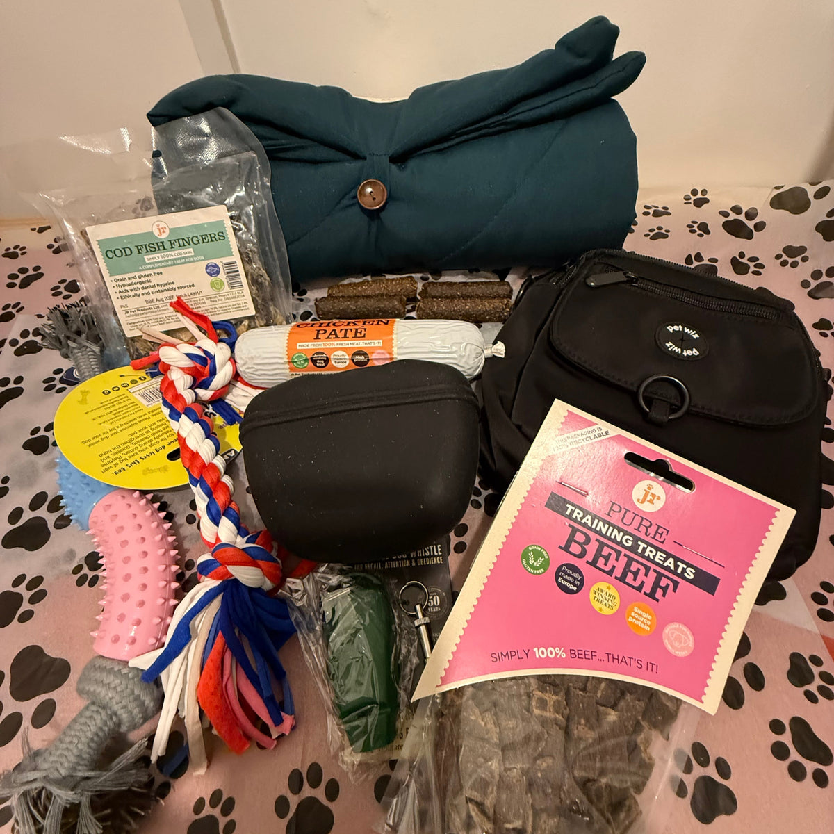 Puppy Training & Walking Kit | Puppy Essentials