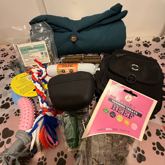 Puppy Training & Walking Kit | Puppy Essentials