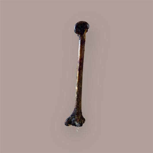 JR Pet Products Ostrich Long Bone