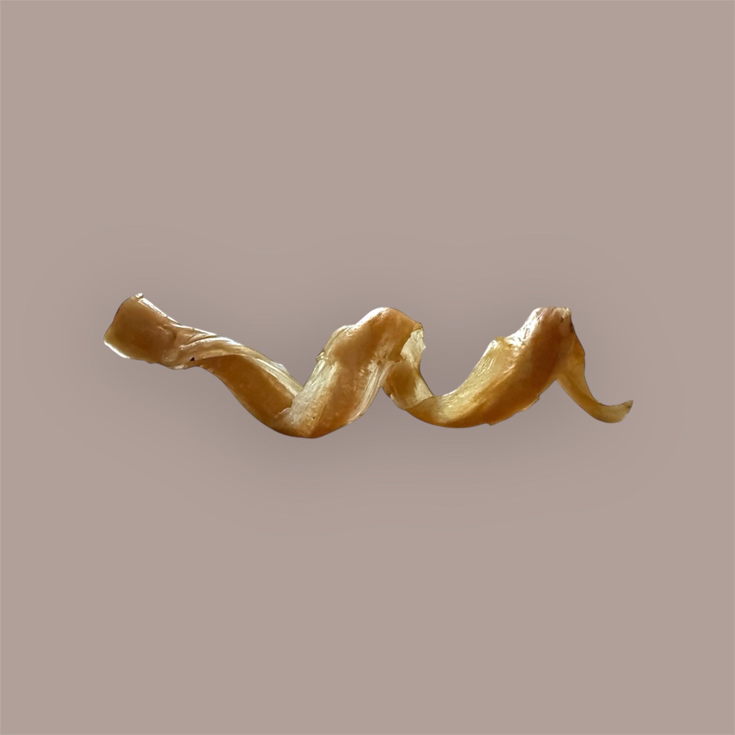 JR Pet Products 15cm Odourless Spiral Pizzle