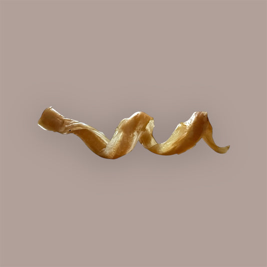 JR Pet Products 15cm Odourless Spiral Pizzle