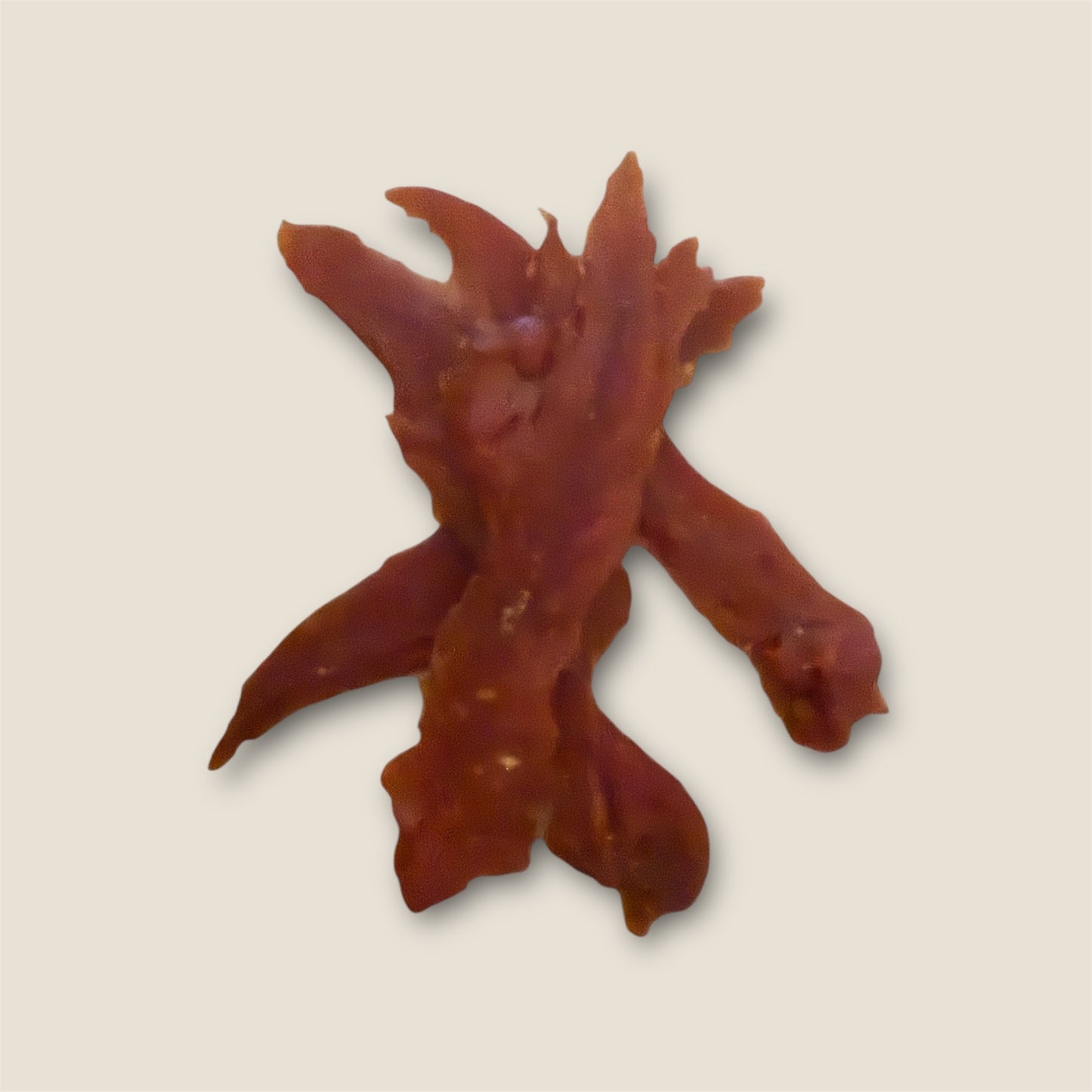 Prime Duck Fillets