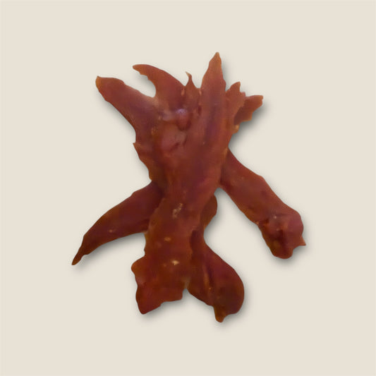 Prime Duck Fillets