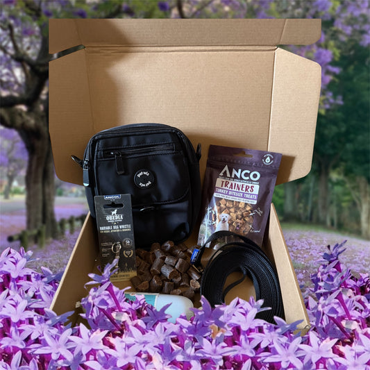 Baby, Come Back - The Recall Training Bundle