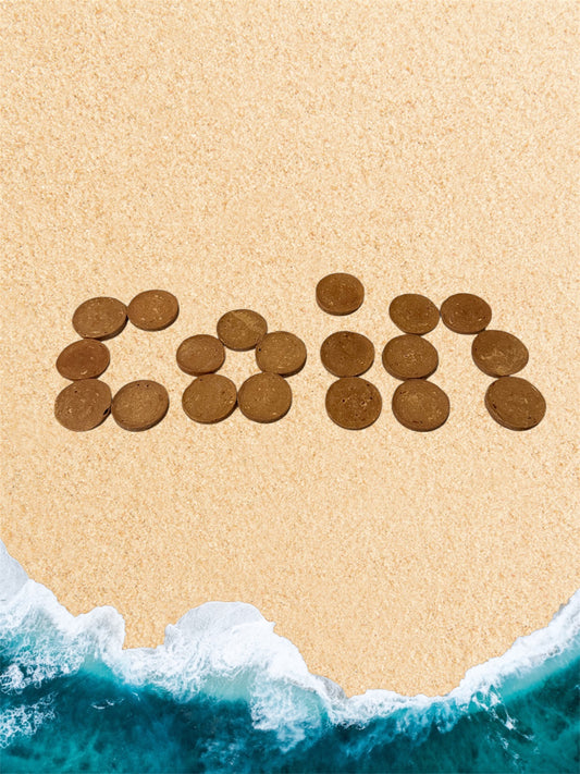 The Coin Collection
