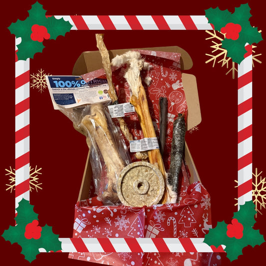 The Christmas Chew Bundle - Medium to Large