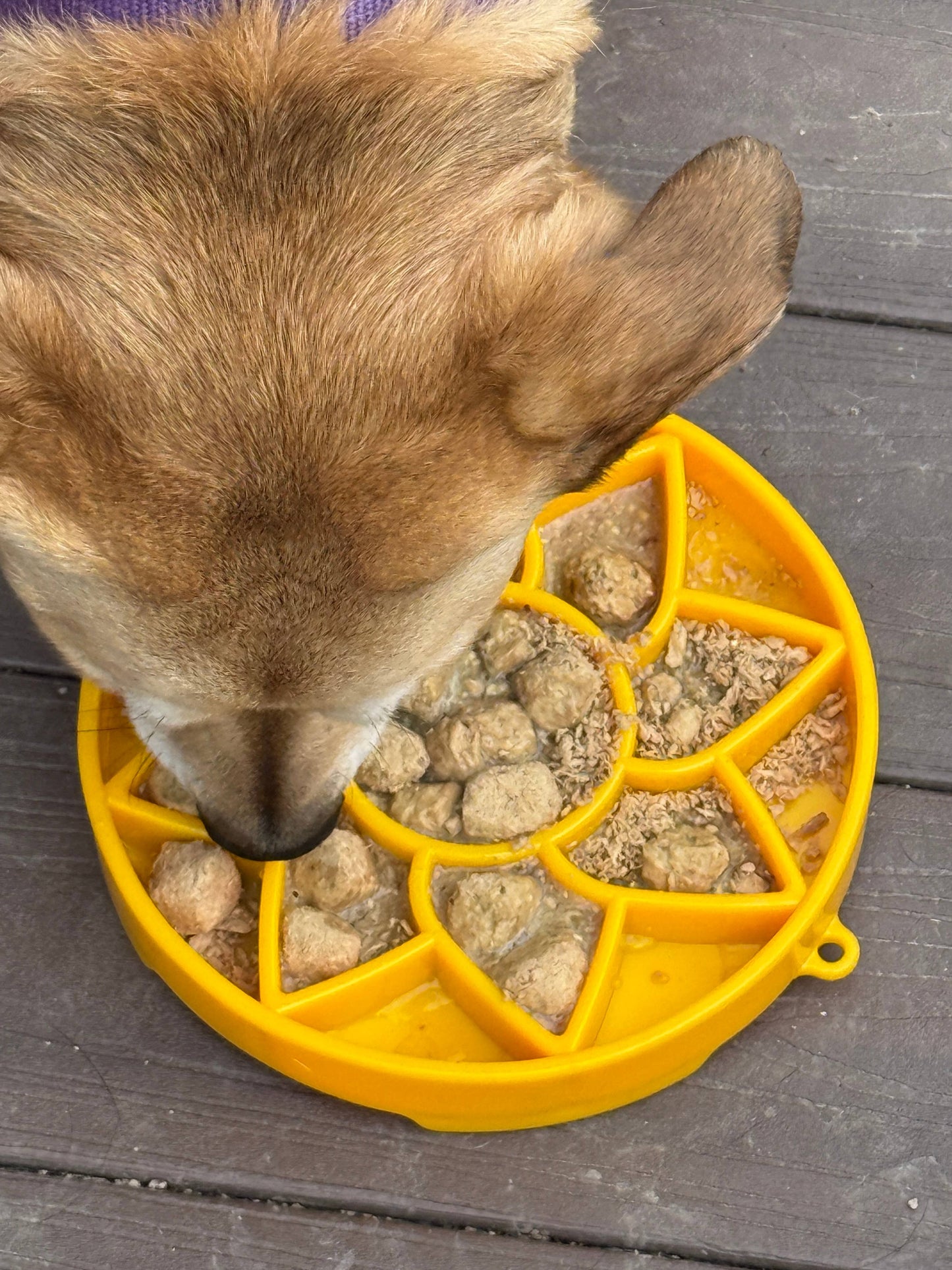 Sodapup Sunflower Design eTray Enrichment Slow Feeder Tray for Dogs - Yellow: Yellow