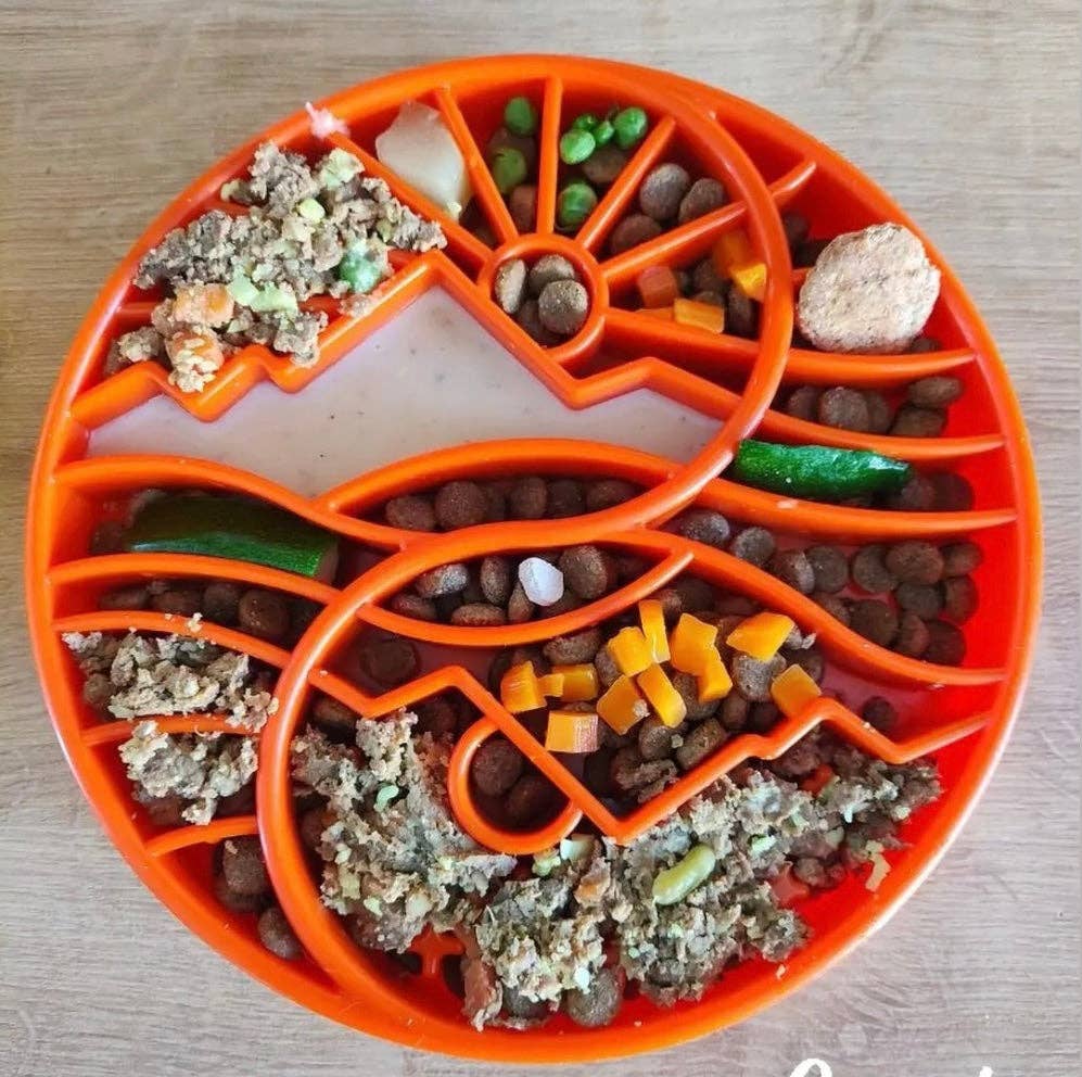 Sun and Moon eTray - Shallow Slow Feeder Dog Bowl
