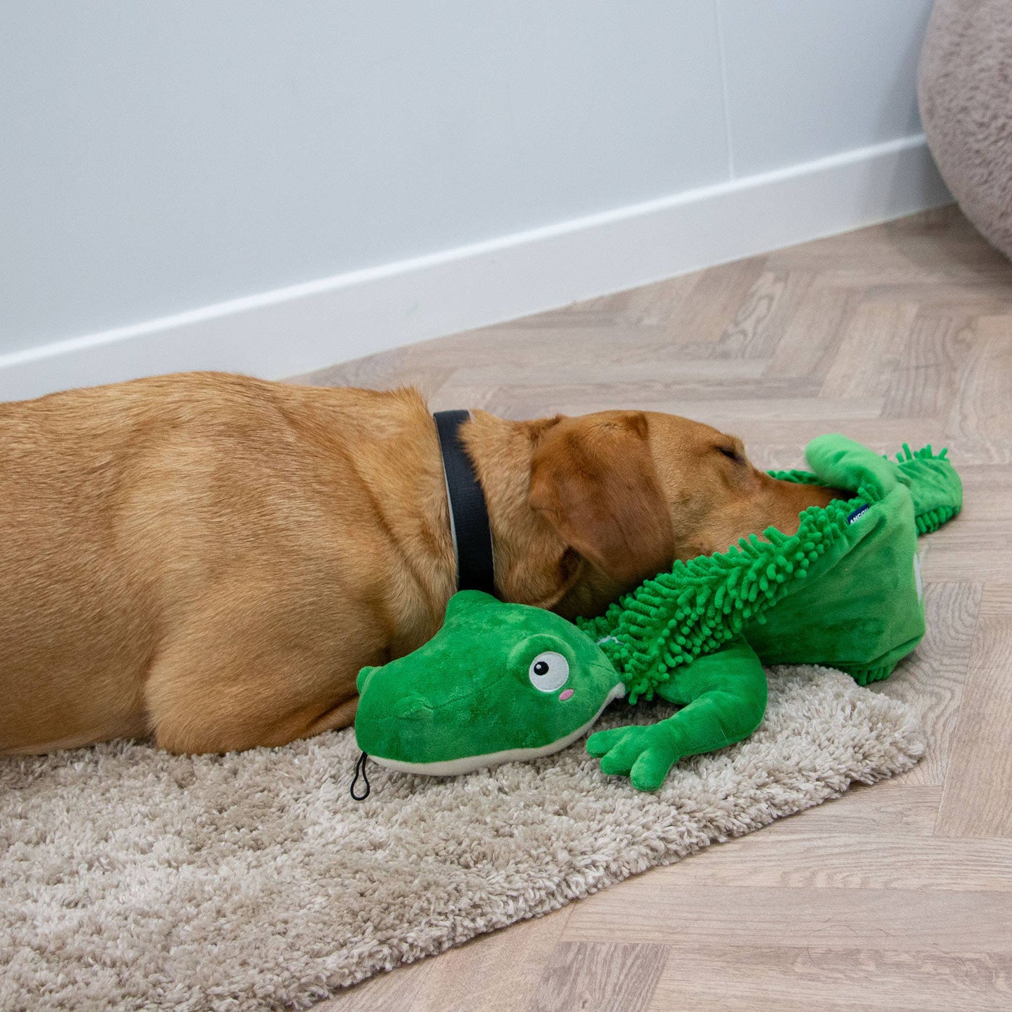 Medium Snuffle Croc Rollable Mat