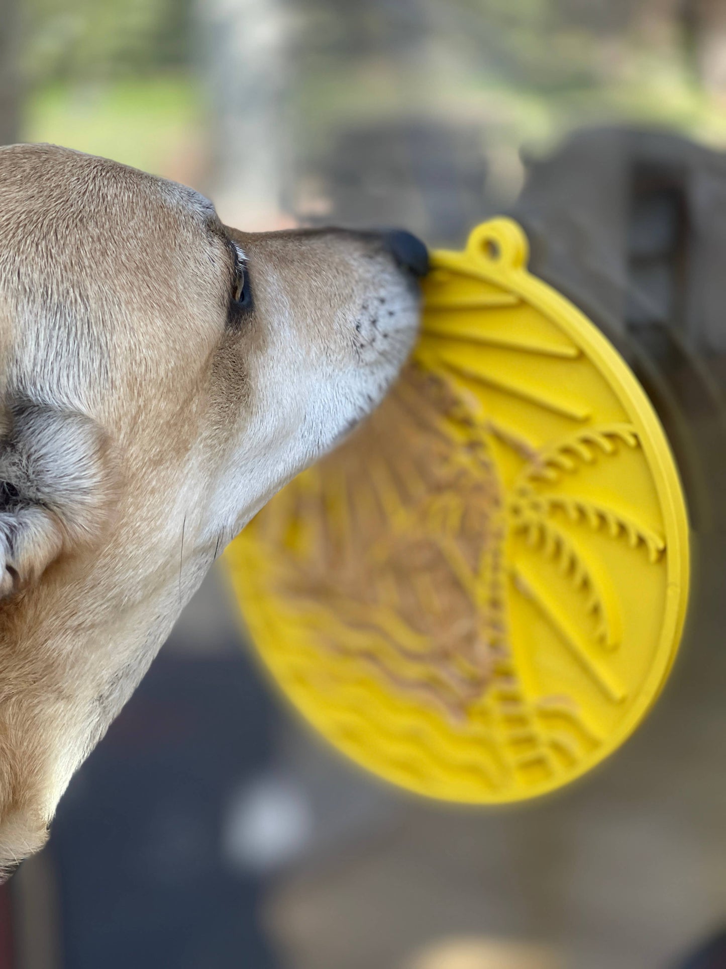Sodapup Sun n' Sea eMat Enrichment Lick Mat With Suction Cups: Yellow