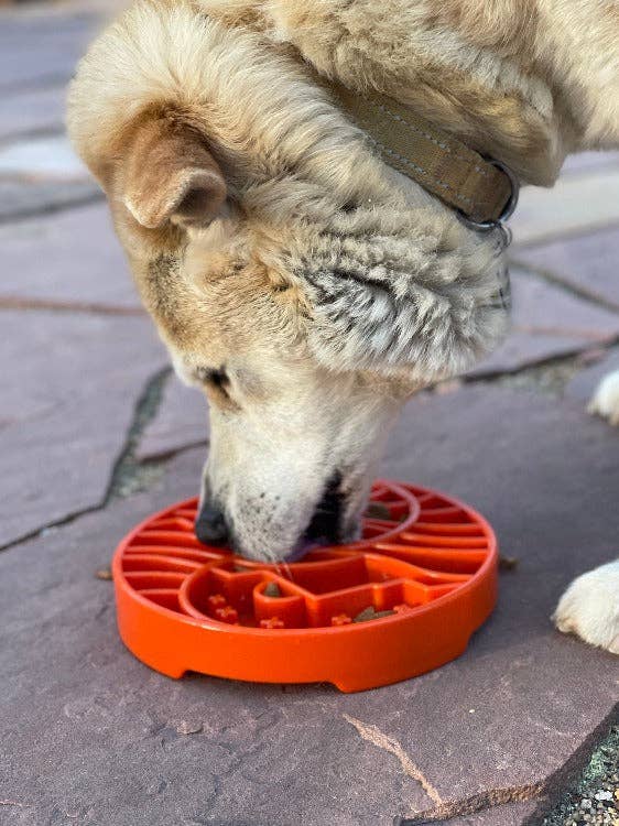 Sun and Moon eTray - Shallow Slow Feeder Dog Bowl