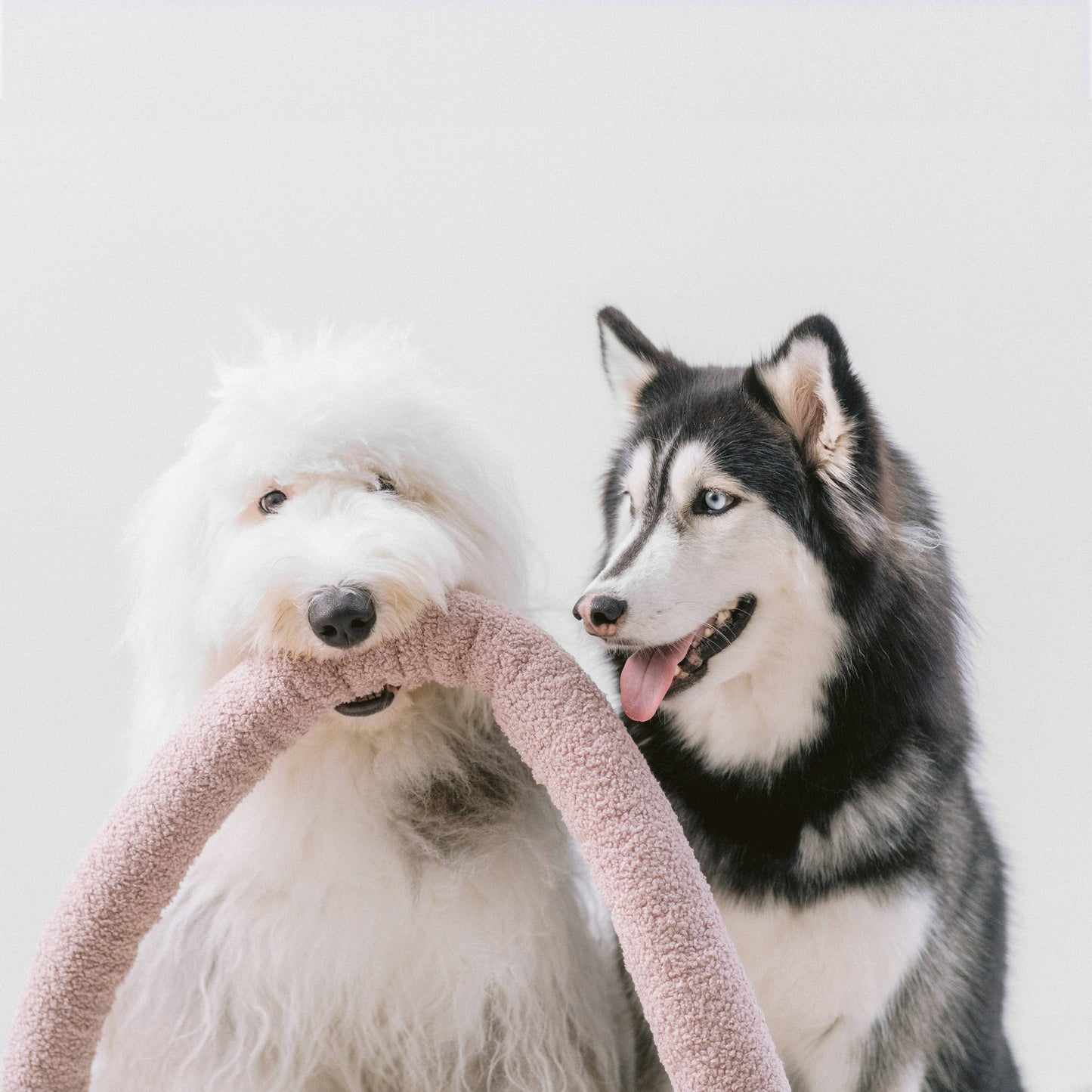 Lambwolf Collective O NOU Oversized Snuffle toy: Oat
