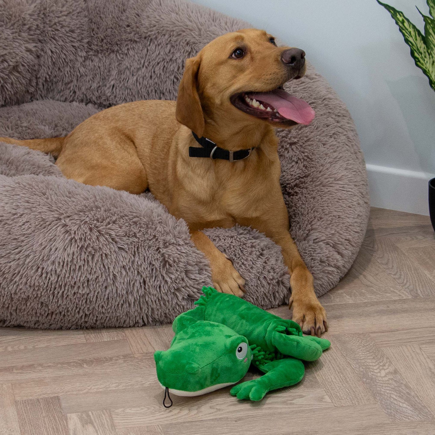 Medium Snuffle Croc Rollable Mat