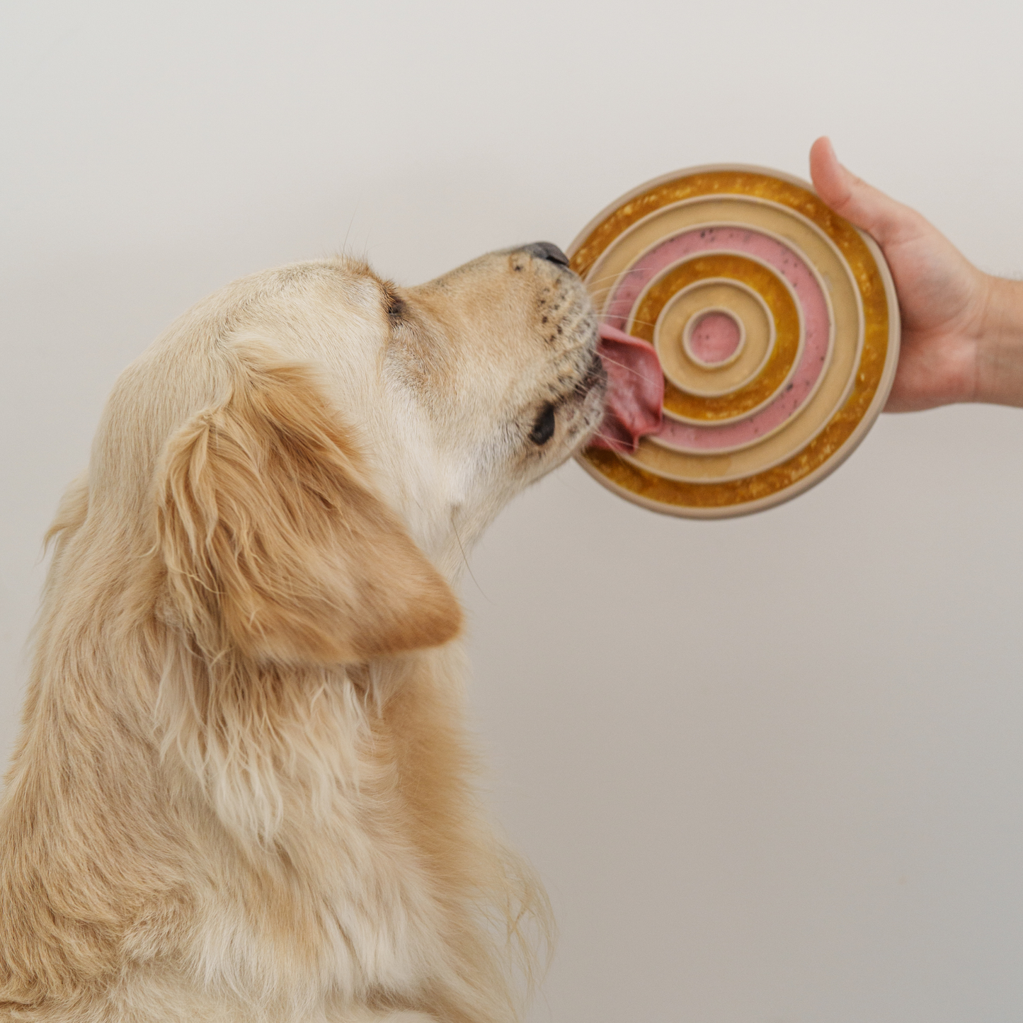 Lambwolf Collective 3-IN-1 BENTO Slow Feeder and Lickmat